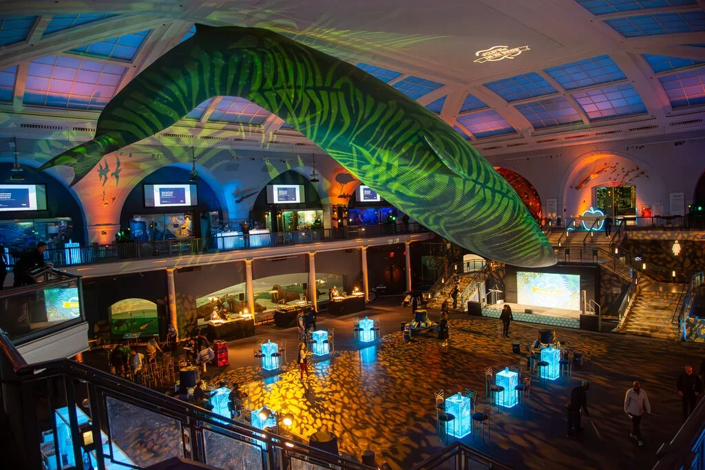 How we work graphics